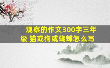 观察的作文300字三年级 猫或狗或蝴蝶怎么写